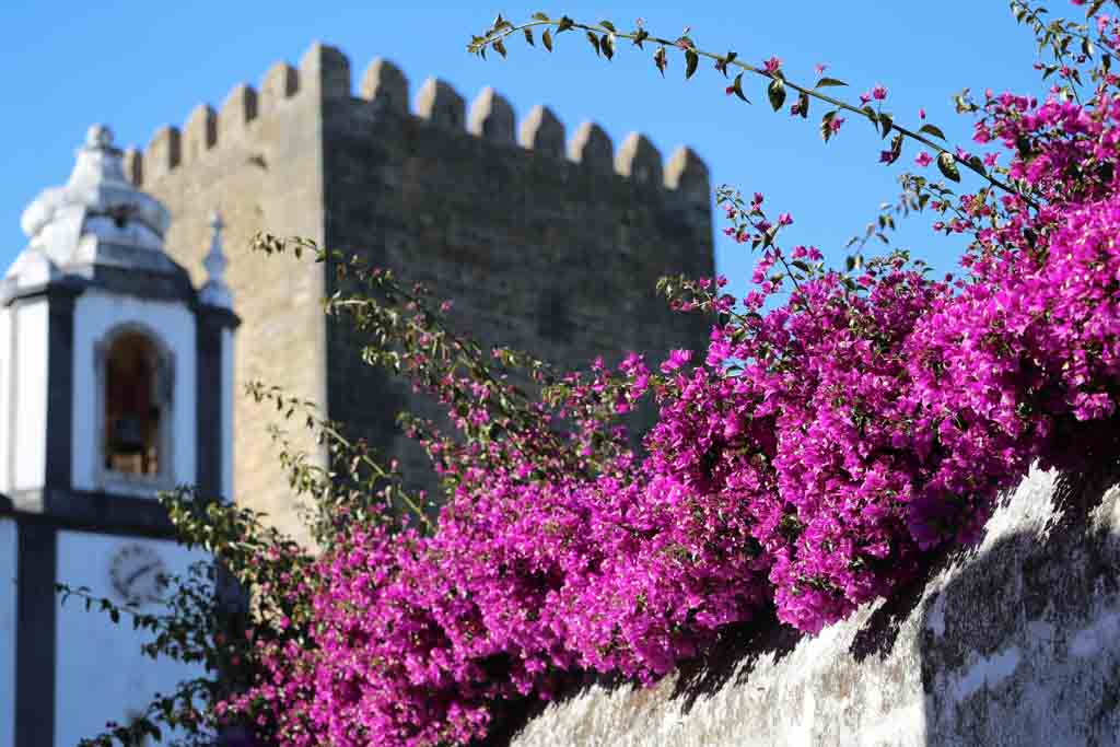 Sipping Ginja in Obidos, Portugal