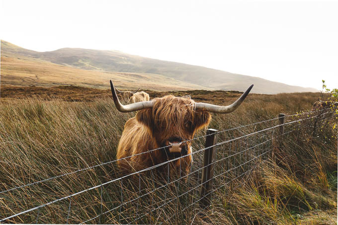 Scotland Road Trip Guide: Edinburgh to Isle of Skye